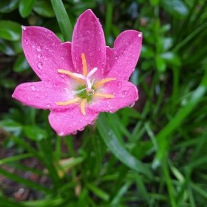 Meet your Posher, Ram